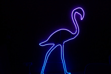 Светодиодная фигура "Фламинго RGB 1,6х1"